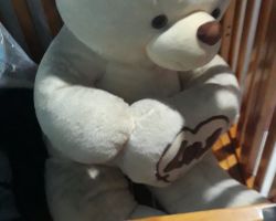 Giặt Gấu Bông Giá Rẻ